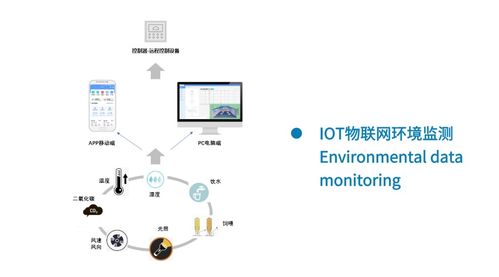 鸡场智能物联网解决方案 全面打造生物安全智慧防线